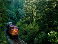 Two Tier 4s make light work of a 26 car L546, rolling towards Squamish through the backyards of West Vancouver and over Wood Creek bridge at Mile 10.

In the old days, location used to have a wood trestle which made quite the photo, but now with the forest growing in it's hard to even notice the concrete replacement!