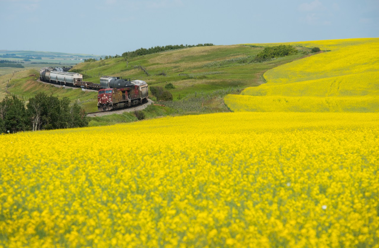 CP's Hardisty Subdivision has no shortage of nice locations, case in point this scene just east of Evesham Saskatchewan. But one thing the Hardisty Sub dose have a shortage of is trains!