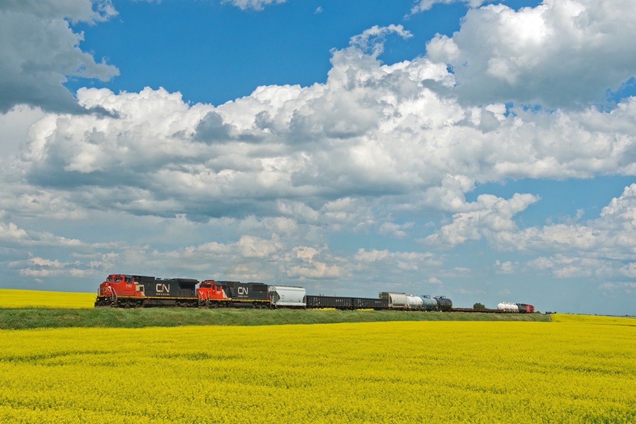 CN 317 makes it's way west through the "Land of Living Skies" and canola fields with a pair of second hand units leading the way.