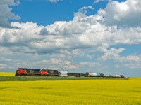 CN 317 makes it's way west through the "Land of Living Skies" and canola fields with a pair of second hand units leading the way. 
