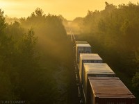 IC 1007 leads train Q120, as they head into the foggy yellow sunset, departing Moncton, New Brunswick. 
