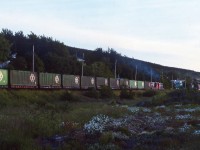TERRA TRANSPORT TWILIGHT. Twilight has fallen in more ways than one on TerraTransport Extra 919 West as the narrow gauge freight heads westward through the scenic Waterford Valley of St. John's. Not only is the sun setting on this all container train but also the entire operation of the Newfoundland Railway. In less than three months, this MBS train and all that followed it on the 547 mile mainline would cease to run after September 30, 1988. Thirty years ago, when this this scene was captured, photographers such as myself were filled with a sense of sadness, knowing that they were witnessing something that would be lost forever.