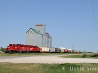 Westbound (in actuality southbound) P03-20, "The Altona" rolls through the small southern Manitoba town of Domain, located along Provincial Road 330. With 47 cars in tow, none of which are for the local elevator, GP20C-ECO's 2217 and 2325 have their train in hand as they hustle along at track speed.