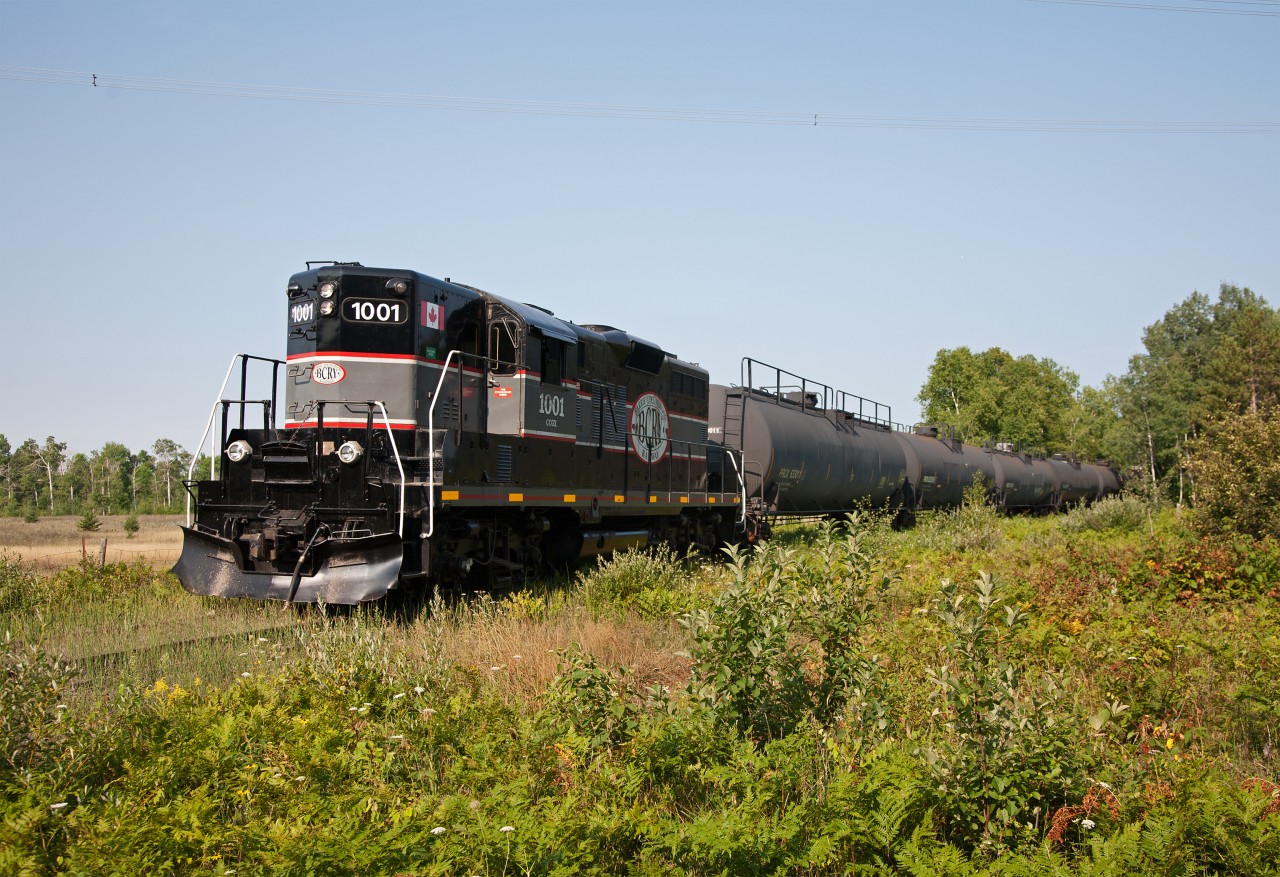 CCGX 1001, the regular BCRY high-nosed Geep ventured up the remains of the Penetang Spur on Aug 9, to retrieve six tank cars which have been stored on the line since 2017. If the price of oil continues to rise, more tank cars could be called back into revenue service.