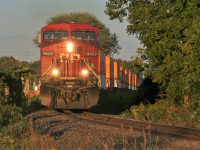 A westbound container train powered by AC4400CW 9629 and a sister are viewed curving through Belleville, Ontario on a late summer evening. 