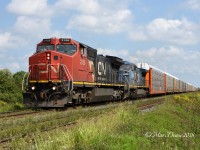 CN 2188 with IC 2466 lead train 273 across Telfer Sideroad heading for a scan at Chester Street before heading to Port Huron, MI.