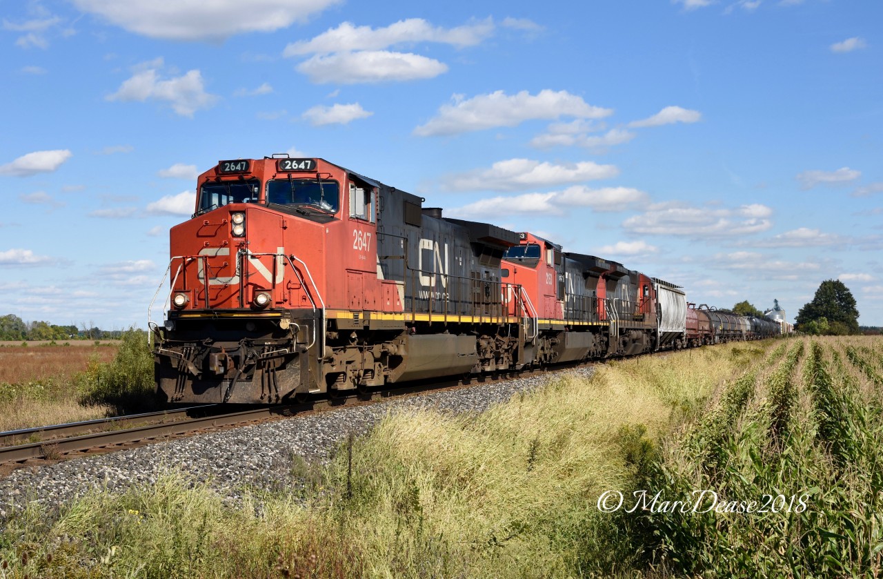CN 2647 with CN 2153 and CN 2015 lead train 385 west at South Plympton Line on a beautiful fall afternoon.