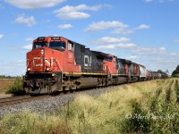 CN 2647 with CN 2153 and CN 2015 lead train 385 west at South Plympton Line on a beautiful fall afternoon.