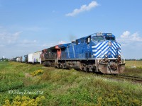 Train 394 with CEFX 1017 leading a very large train east bound at Minielly Sideroad just outside of Wyoming, ON. 