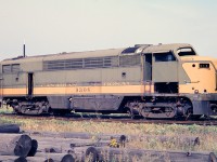 <b>Awaiting the scrappers torch</b>  CFA16-4's built by CLC in 1953-1954 did not last all that long when compared to other locomotives on the CN roster.  The 9308 is at the reclamation yard in London along with other sister units and a series of 2200's, CLC H16-44's.  