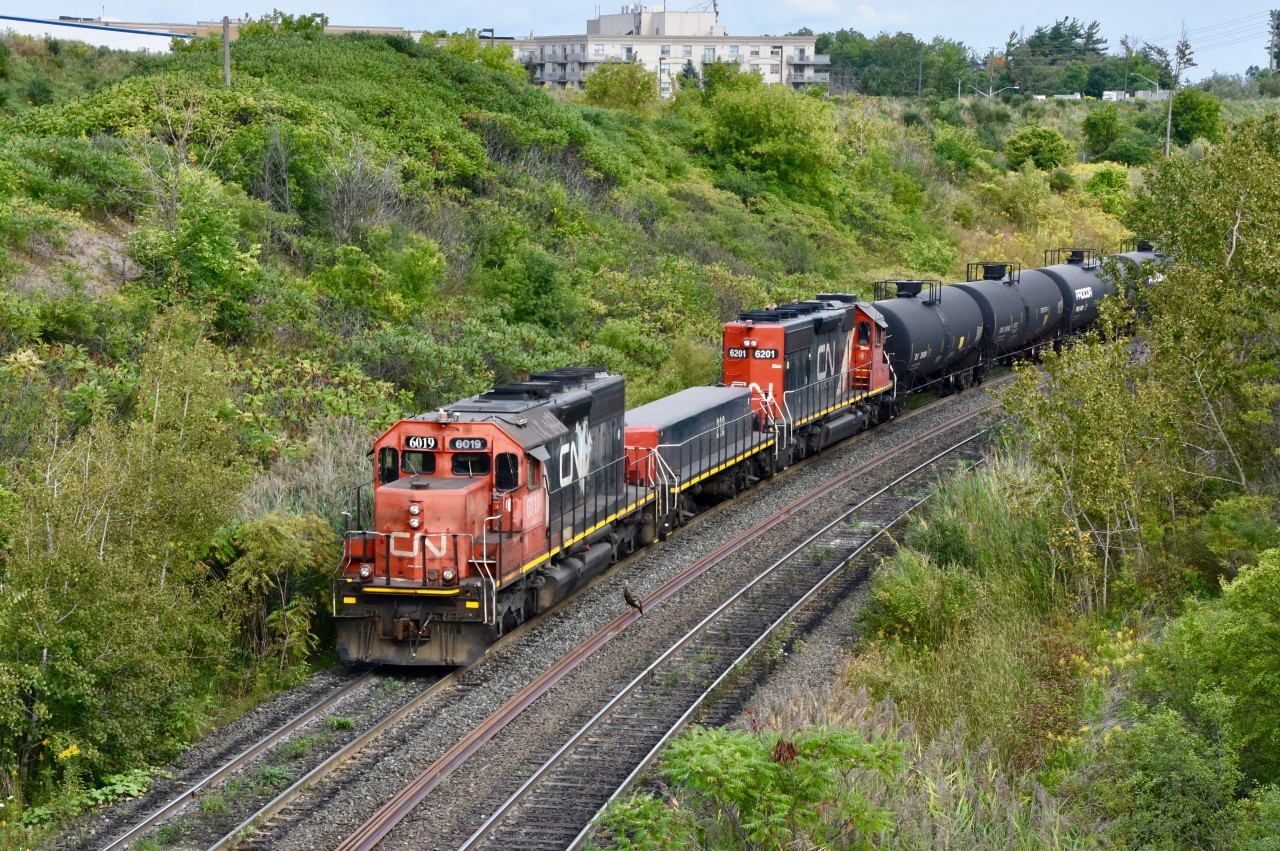 Friday evening in Vaughn finds a pair of CN sd40-2s (6019 and 6201) working the north end of the CN MacMillan yard with slug 232 in the middle. In this scene they had just cleared the Melville Ave overpass and are slowly reversing back into the yard after having pulled ahead moments ago in order to set off the right freight cars on the right track in the yard.   If you look to the right of the locomotive on the loose welded rails between the 2 pullback tracks, you can see a duck standing on top of the rails watching the train creep by him. That’s something you don’t see everyday because most ducks and other small animals would find the noise coming from the locomotive too be too intense but this little guy here seems to be fearless and is proving it by standing next to the massive and loud sd40 which close to fifty-times his size!