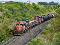 Friday evening in Vaughn finds a pair of CN sd40-2s (6019 and 6201) working the north end of the CN MacMillan yard with slug 232 in the middle. In this scene they had just cleared the Melville Ave overpass and are slowly reversing back into the yard after having pulled ahead moments ago in order to set off the right freight cars on the right track in the yard. <br> <br> If you look to the right of the locomotive on the loose welded rails between the 2 pullback tracks, you can see a duck standing on top of the rails watching the train creep by him. That’s something you don’t see everyday because most ducks and other small animals would find the noise coming from the locomotive too be too intense but this little guy here seems to be fearless and is proving it by standing next to the massive and loud sd40 which close to fifty-times his size! 