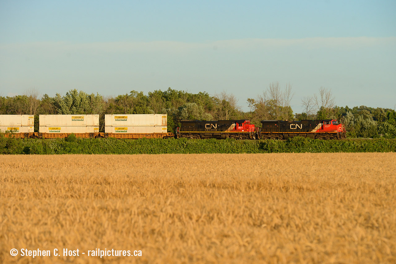 CN 149 passing by fields of gold, in the golden last rays of sunshine on a long summer day. What a great summer this was.