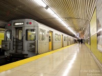 Still two years away from extinction by new replacement Toronto Rocket trains that would take over, the mid-70's Hawker Siddeley Canada H5 cars were just more of the same that provided daily service on the Yonge-University-Spadina line (aka "Line 1") combined with newer T1 cars. But when you know the writing is on the wall, it's best to nab 'em when they're still plentiful. Higher-numbered car 5798 brings up the rear of a 6-pack of H5's, paused at Dundas Subway Station to pick up more passengers (and let off the photographer after his trip down from Yorkdale station) before continuing up the Yonge line.
<br><br>
One change to some of the stations after the TR's entered service was removal of all the ceiling slats directly over the tracks (apparently due to the TR's roof-mounted HVAC system blowing out all the years of grime and dirt accumulated up there) but not over the platforms, giving the stations a <a href=http://www.railpictures.ca/?attachment_id=9746><b>somewhat unfinished look</b></a>.