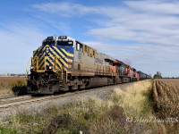 I had heard 385 had a nice leader so I ventured out to South Plympton Line to catch them on a beautiful fall afternoon. CREX 1511, CN 3070 and CN 4781 head west bound for Sarnia, ON.