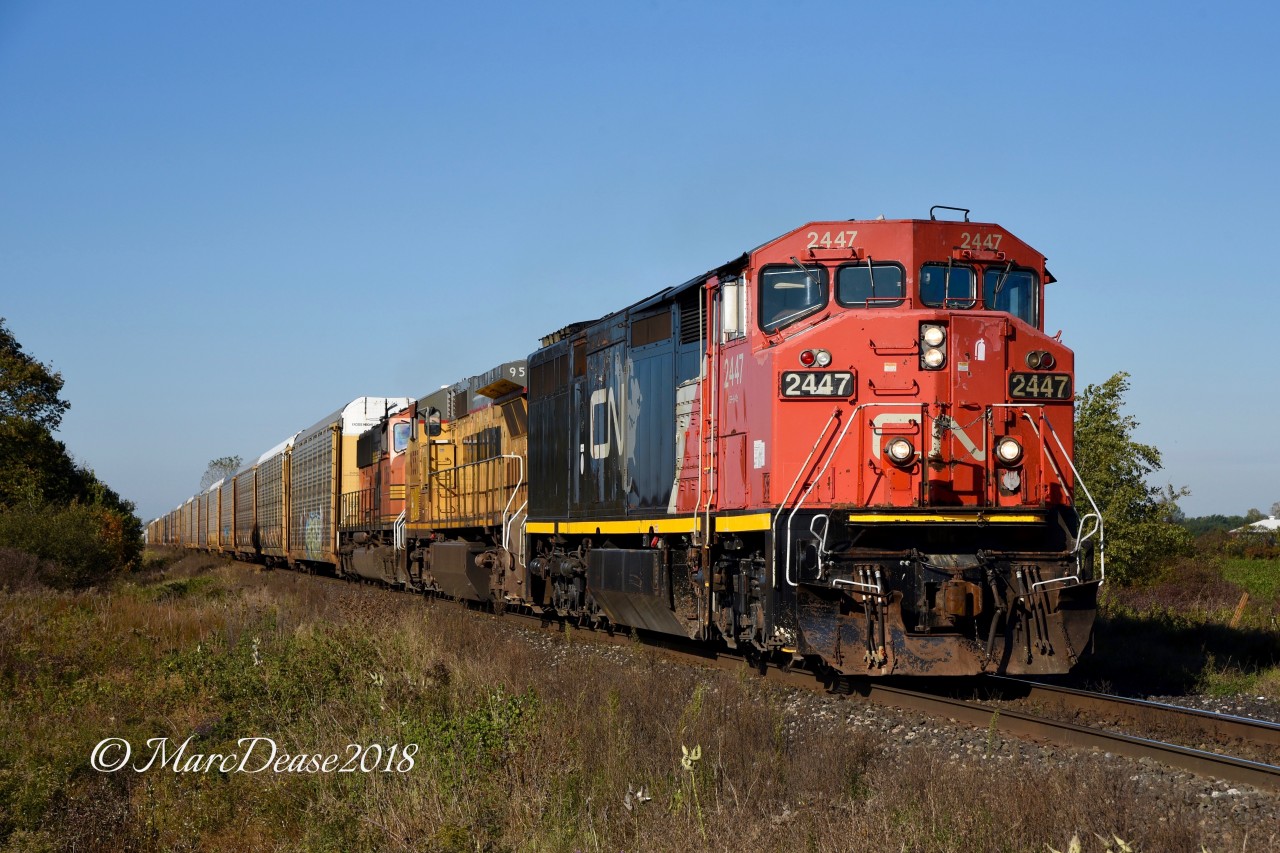 A very clean CN 2447 with GECX 9557 and PRLX 236 lead train 394 east out of Sarnia at Fairweather Sideroad.