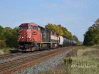 CN 2440 with BCOL 4612 and a short cut of cars cross Stewardson Sideroad just east of Wyoming, ON., bound for Sarnia.