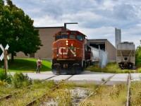 CN’s mid-day local 559 switches out hoppers at the Polar-Pak Distribution Center on Summerlea rd at just about lunch hour. This particular several hundred yard railway spur branches off of the Torbram Lead just after Clark BLVD and was named after the buisness a few hundred yards east of here ‘Country Malt Group-Toronto’ back when their building first opened in the 80s (as this spur ends at their building located at 8705 Torbram rd). Country Malt is one of the many long gone rail consumers on the Torbram Lead (as most buisness here prefer to rely on BIT when it comes to shipping by rail) but their spur still has some life left in it as 559 continues to make its once a week visit to Polar Pak which is only a few hundred yards away and at times (as seen in this picture here) freight cars still make it up to their building while 559 switches hoppers at Polar-Pak (there were a total of 7 freight cars on the spur to Country Malt on this day). 