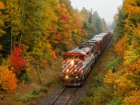 Toronto to North Bay train no. 451 hustles along CN’s scenic Newmarket Subdivision at Scotia, ON. Can you see why this is my favourite time of year?