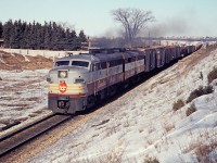 A pair of MLW FA-1's on a CP westbound at Puslinch.  These look pretty nice in the script lettering.  