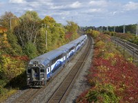 Cab car AMT 3014 leads EXO 61 through Beaconsfield after its stop at Beaconsfield Station amidst some nice fall colours.