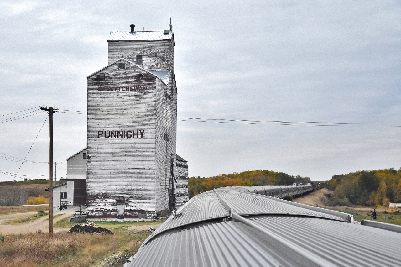 ...grain elevators....vintage in service

 
VIA Rail train #2 cruises through Punnichy, Saskatchewan

 
the siding in front of the Elevator appears to have seen recent use, and Punnichy is shown as an active station on the CN Rail website

 
September 20, 2018 digital by S.Danko

 
what's interesting


place name  Punnichy is absent from the Watrous Subdivision Timetable, Punnichy is a couple miles East of Quinton mile 77.6 Watrous Subdivision
 

note the Punnichy Cyclist admiring the train – bottom left corner

 
another first for the photographer: two Park cars on the same The Canadian train (  I have seen this before, first time photo capture – better view to posted soon)
 
 
that 'green eye' was a pleasant sight as forward progress was frequently interrupted 

 
vintage grain elevator: circa 1978 courtesy A.W.M.    
   Broadview  
     

 
more vintage grain elevator: circa 1978 courtesy A.W.M.       
   Coalhurst  

 
and contrast,  the Toronto section of the CP Rail The Canadian circa 1977 courtesy A.W.M.  
  Parry Sound  
  
 
More (freshly painted) CP Rail:  
  Kleinburg  
 
 
sdfourty