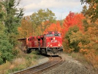 Todays CP 246 had the same power as yesterdays but in reverse. CP 8102 is leading CP 8001 through Waterdown approaching the new wooden bridge at Snake Road and Main Street on its way south to Hamilton.