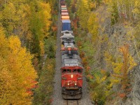 After climbing the steep grade at St Andre Jct, entering the Pelletier Sub, eastbound CN train 306 starts it's slight downhill trek, approaching CN Fourchue in some nice Fall colors. 