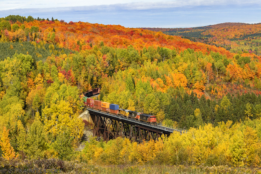 Rounding the hills of northern Quebec, CN 306 rounds the bend at crosses the trestle at Saint Eleuthere, PQ. The colors are really starting to show around here.
