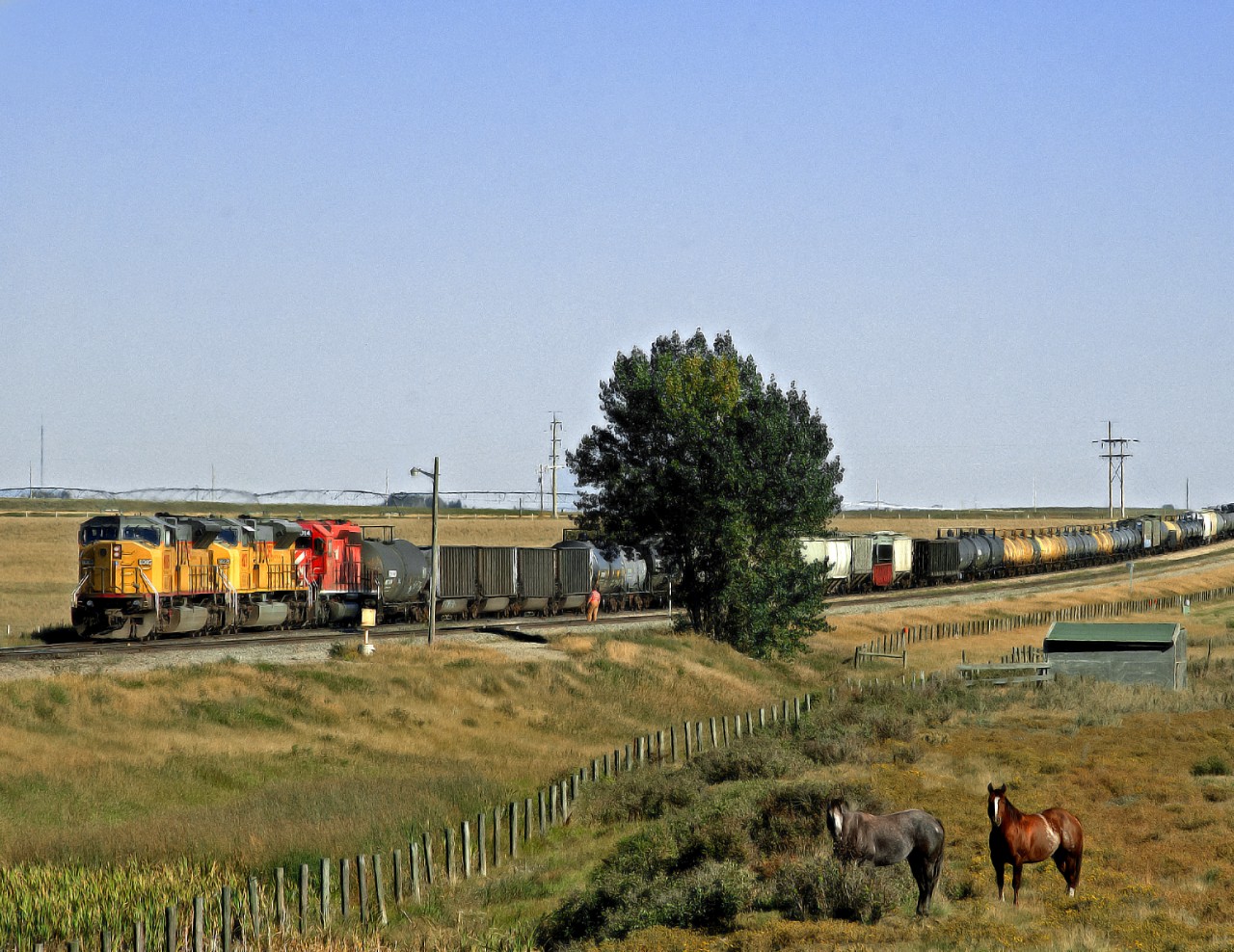 A westbound destined for UP interchange at Kingsgate makes a double over at the west end of Kipp Yard west of Lethbridge.