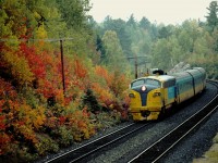 ONR Northlander Southbound in fall colours at Nipissing Junction.