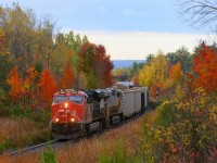 Some locations are just better on overcast days, in the fall, this spot is absolutely a writeoff at all times of the day for an eastbound yet the colours are often really nice. This year wasn't that half bad, so I shot this eastbound (anyone recall the symbol?) taking advantage of flat light before a pair of westbounds came by and this is my effort. Shot this with rp.ca contributor Michael DaCosta who should have a fairly similar composition. - a telephoto is an absolute must. While I love the brightness you get on a sunny day, a tradeoff is shadows. A tough choice out here, lots of great opportunities though. Westbounds are great in this area in fall/winter , but the sun did not play ball this morning.... 






