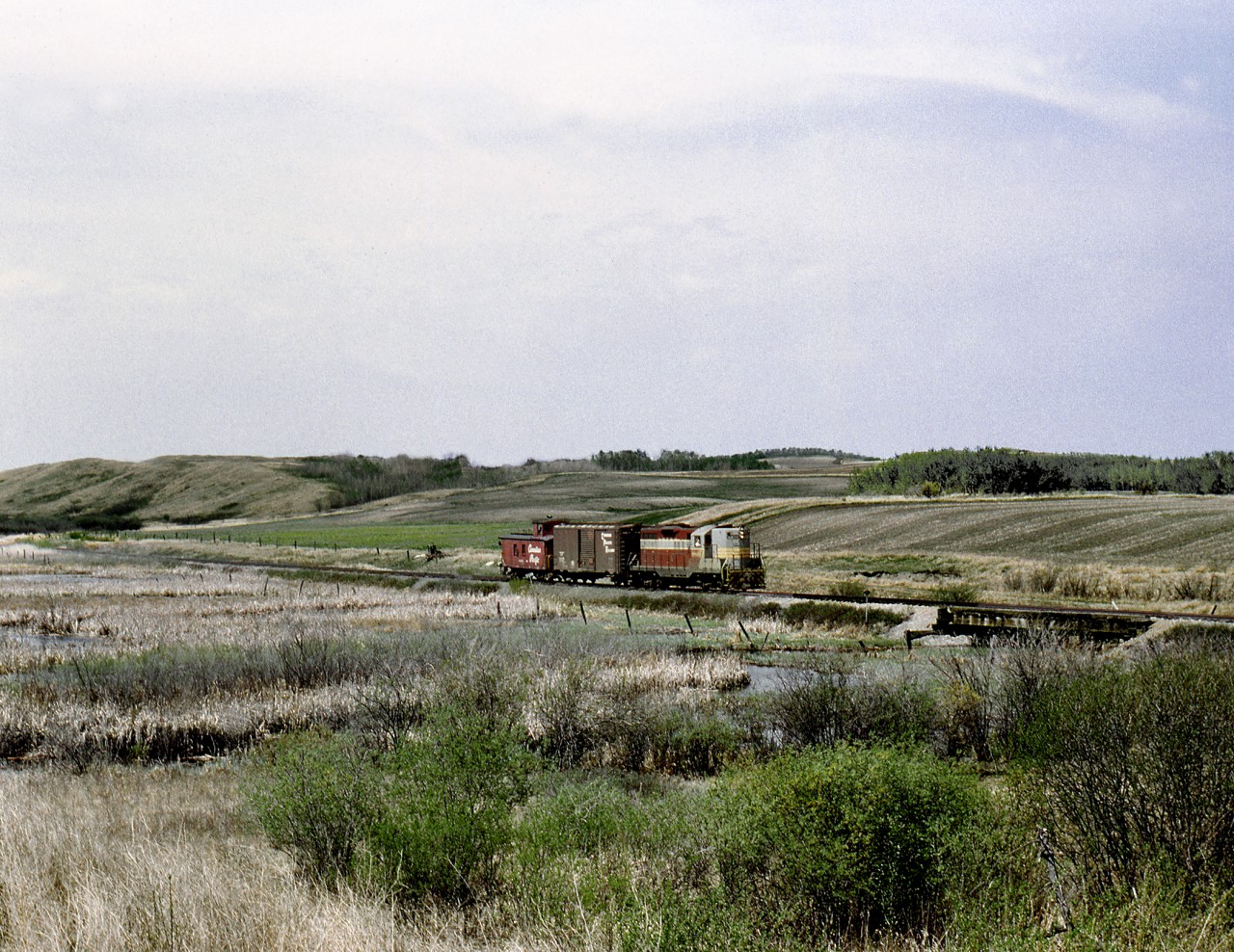 Returning from Miniota to Brandon the Bi-Weekly wayfreight follows the Arrow River which is shared with CN Main, out of sight on left, just west of Quadra siding. The CP line was abandoned ca. 1978 to allow the CN to double track its line through here