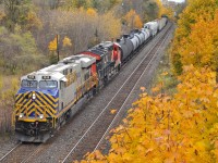 M33131 03 cruising past some vibrant looking yellow's (probably gone this morning now!) with CREX 1513, CN 3037, and 70 cars