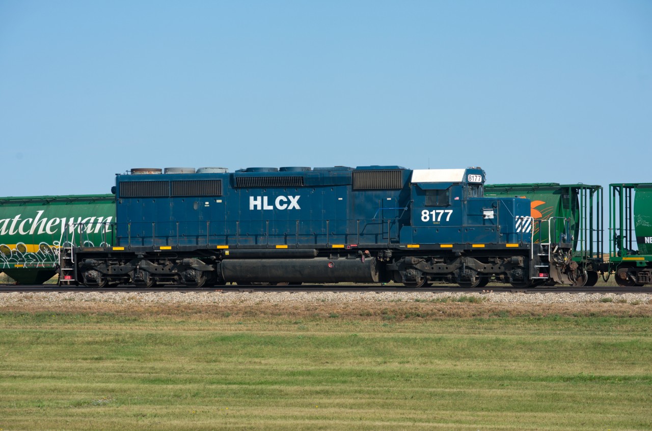 Its truly amazing what constitutes a critter these days. This ex BN SD40-2 now earns its keep at a grain elevator near Unity Saskatchewan.