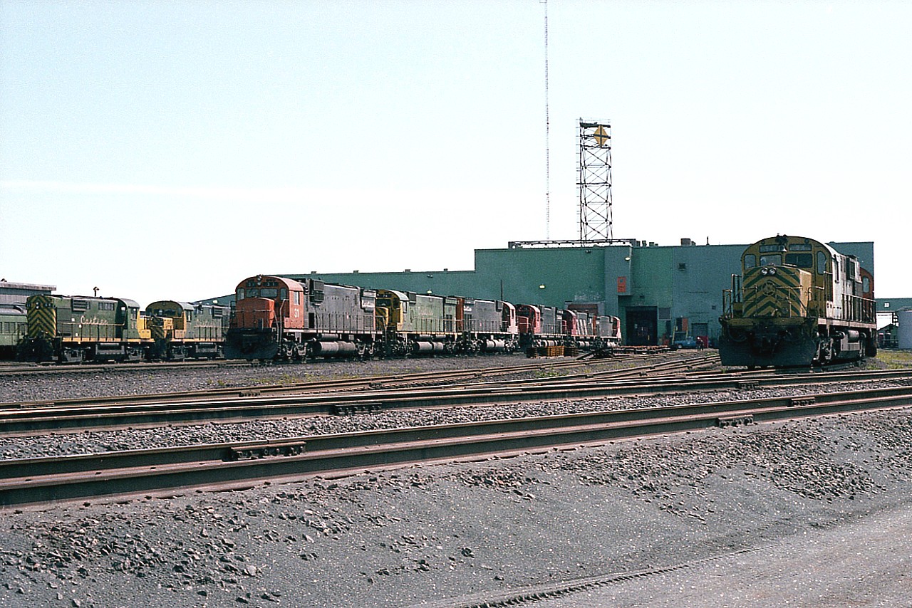 Talk about an Alco paradise!  At least that is what it was around the Cartier engine facilities in Port Cartier back in 1981.  It seemed they were everywhere. This general image shows a long row, unfortunately not sure of the numbers, but behind CART 31 is 74 (in green), then 41, 79, 43 and 81 I think. I do know the #43 is in the CN stripes, as is the #47 peeking out the doorway. On the left is 68 and 67, the rest unidentified. On the right is a string of "alligators", 94 and a bit of 95 visible, out of sight are 92,93,91 and 96 in that order. Not an easy place to visit, but sure was a thrill once you got permission to be in there.