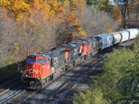 CN train 421 is powered by an SD75i, ES44ac, and Dash 9-44CW, on the first day back to Standard Time. Fall colours are well advanced, with many leaves fallen. There is frost on the shaded part of the ties.<br><br>
The engines are approaching the signal for CN Bayview (Junction) as the train continues its departure from Aldershot Yard at CN Snake, with over half the train still rolling out of the yard.<br>
CN 421 goes to Port Robinson Yard; on this day it is following VIA train 97 the "Maple Leaf", Amtrak equipment en route to New York City via Niagara Falls. 