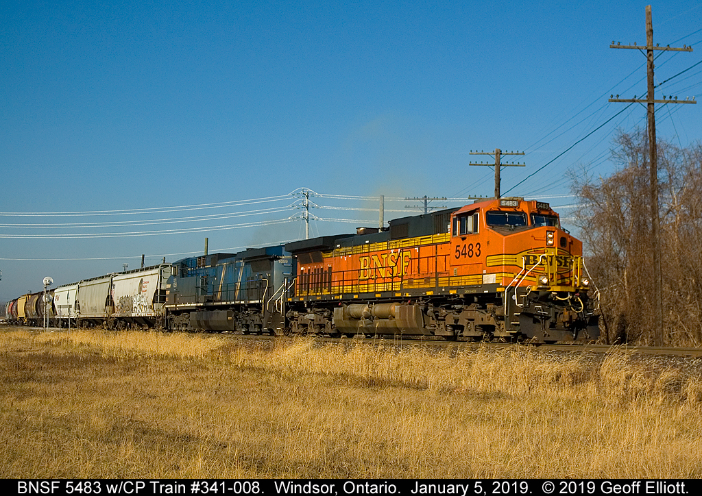 Empty Grain Train, CP 341-008, departs CP's Windsor Yard eastbound for Walkerville with BNSF 5483 on point.  Once at Walkerville the power will run around the train and lead to the U.S. with CEFX 1059 on the point.  Nice to catch this guy with the BNSF on the point in nice light.
