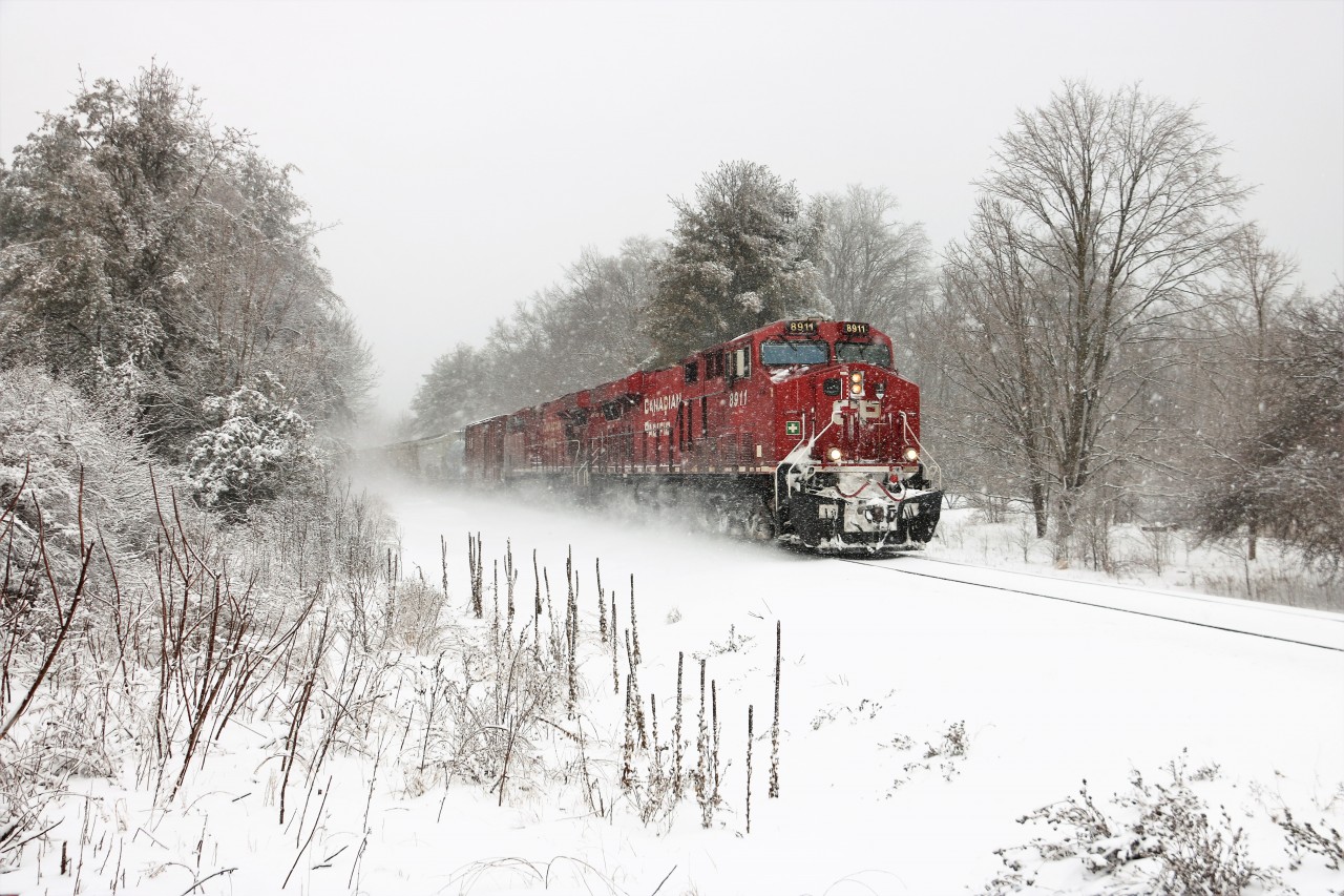 After a few days of snow and freezing rain, another burst of snow arrives as CP 246, with CP 8911 and CP 8816, head south down the Hamilton sub as they pass mile 74.