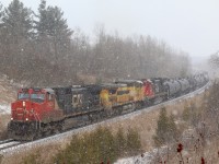 Lake effect white out conditions are in the area as train 422 slowly climbs through Halton Hills near the bottom of the Niagara Escarpment.   