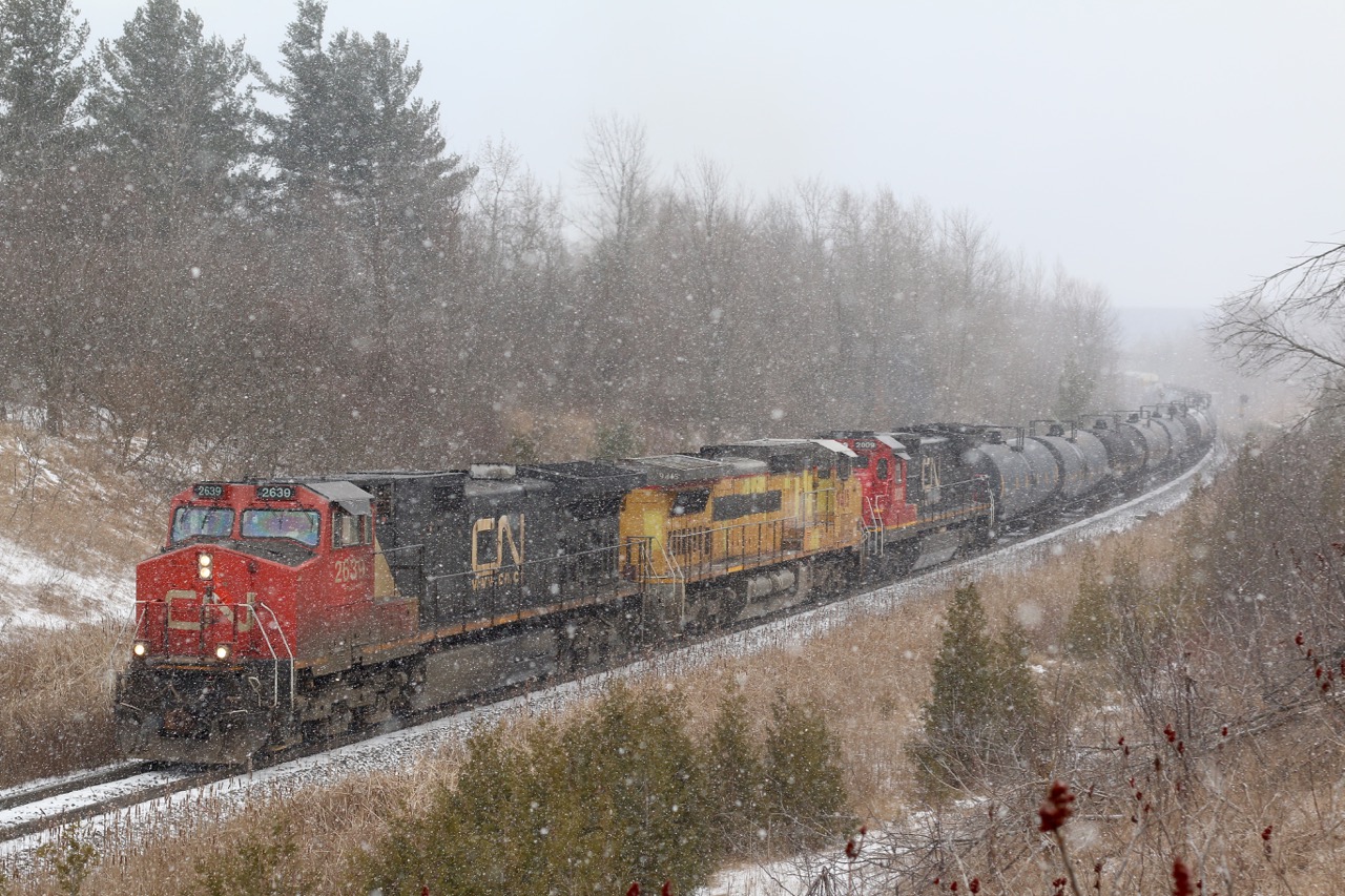 Lake effect white out conditions are in the area as train 422 slowly climbs through Halton Hills near the bottom of the Niagara Escarpment.
