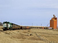 Westbound grain potter from Assiniboia to Eastend Sask. with M420's in Saskatchewan provincial colours makes a spot of empties to the Pioneer elevator at Admiral