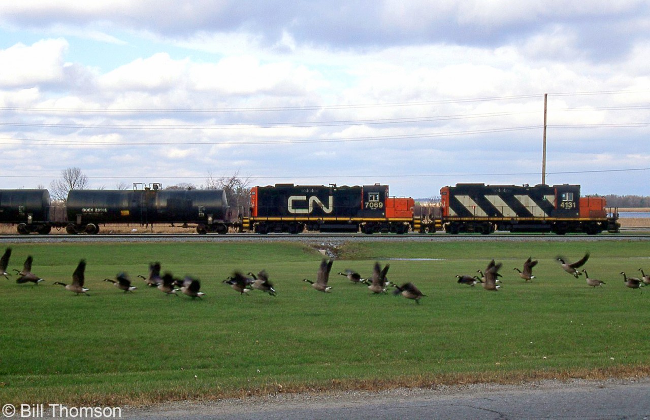 CN local #519 with GP9RM's 4131 and 7069 switch the Invista Canada plant in Kingston, disturbing some of the local resident geese nearby. Invisita (formerly Dupont Canada) is located at the end of the Cataraqui Spur, branching off of CN's Kingston Sub at Mile 178.