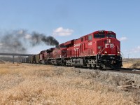 This picture taken by my son Jason. ES44AC CP 8922 and a pair of AC4400CWs 9623 & 9811 head south under 32nd Street, Okotoks, with the second unit doing it's bit to add to air pollution. The train is coal gondolas almost entirely BNSF.  