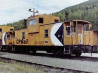 A CP Van among many other CP Vans! CP Van 434207 was sitting in the Revelstoke van maintenance area along with many others and it was the one I chose to photograph. Little did I know that the RY Vans would not be around much longer. Another piece of history gone!