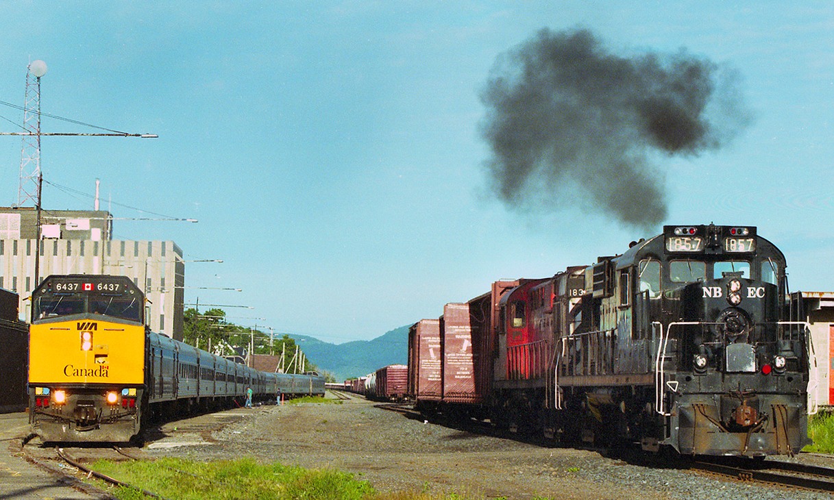 The eastbound VIA Ocean makes a station stop at Campbellton, NB while the New Brunswick East Coast Railway assembles a train in the yard. The NBEC power is an ex-CP Rail RS-18, paired with another RS-18 that has yet to be repainted.  The NBEC was a shoreline that operated from 1997 until CN re-purchased it in 2008.
