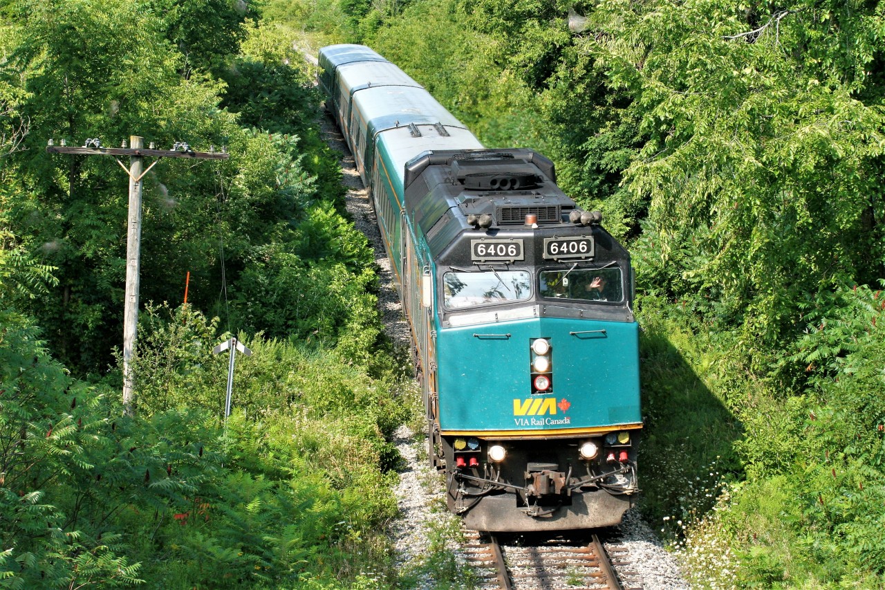 With a friendly wave from the 'second engineer' VIA Rail train 84 rolls through the hamlet of Limehouse and all the summer foliage as it heads east to Toronto.