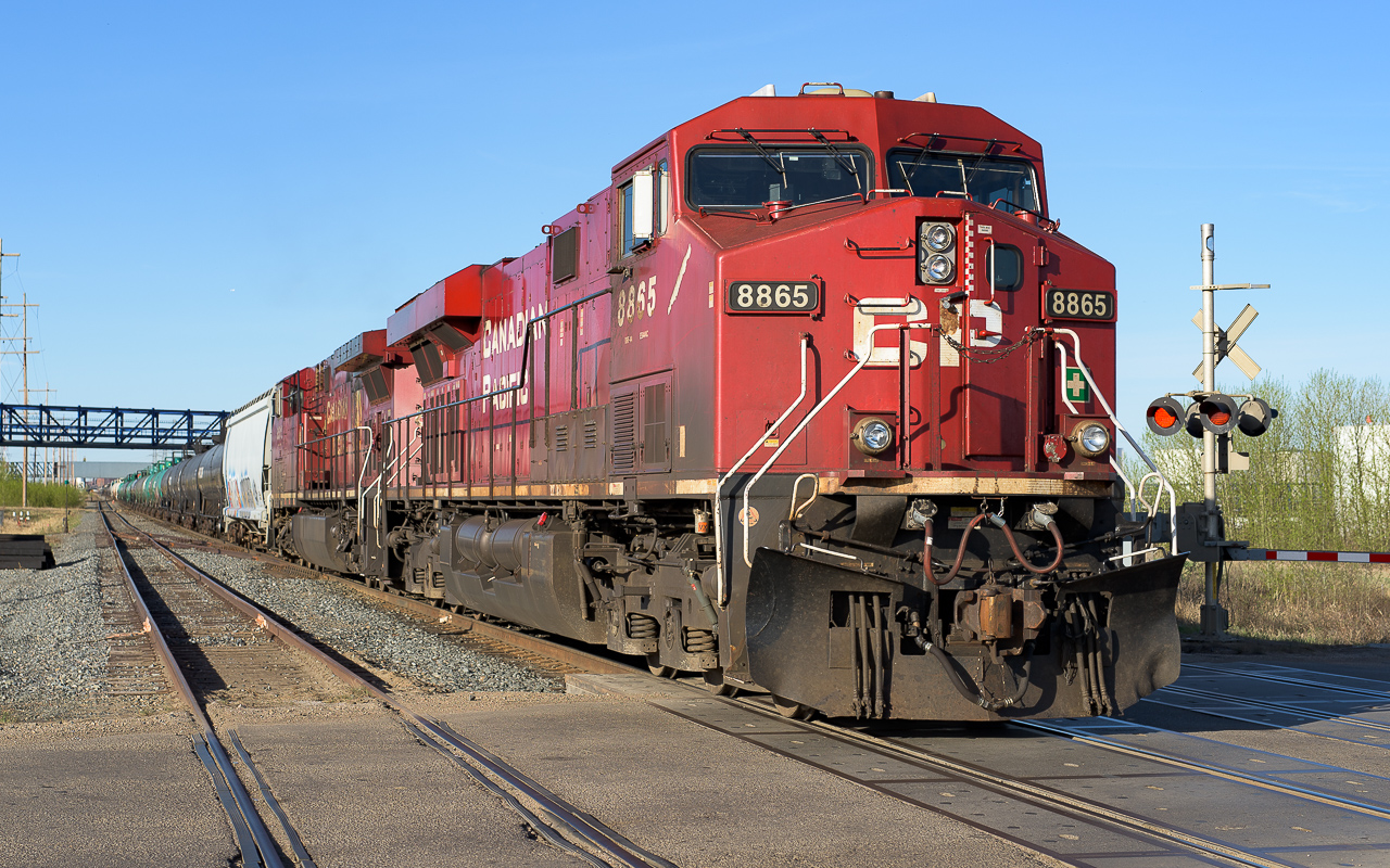 CP 8865 and CP 8511 at 8:00, have an enormous train (should have counted) of hoppers and tanks, although most were empty, on the way to Fort Saskatchewan. The conductor is up the track getting the switch to pass through a clear alley at CP Clover Bar yard.