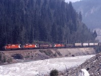 Four SD40s (CP 5559, 5545, 5541, and 5504) lead a westbound alongside the Kicking Horse river at Glenogle, BC; Golden is about 7 miles ahead. The third unit--5541--was the last SD40 to wear the maroon and gray paint scheme.