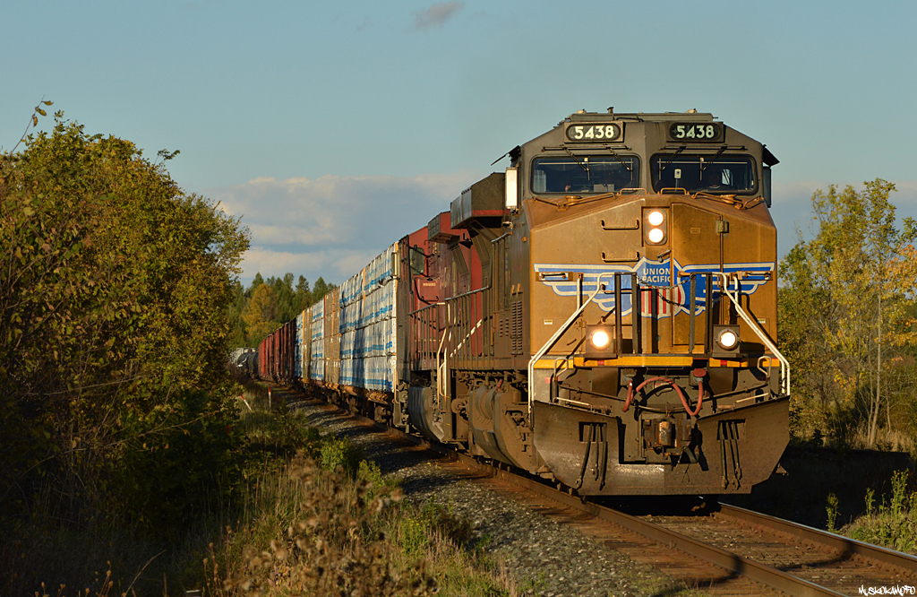 UP 5438 South approaching Medonte into the sun and onto Toronto with a healthy train from Northern Ontario/Winnipeg.